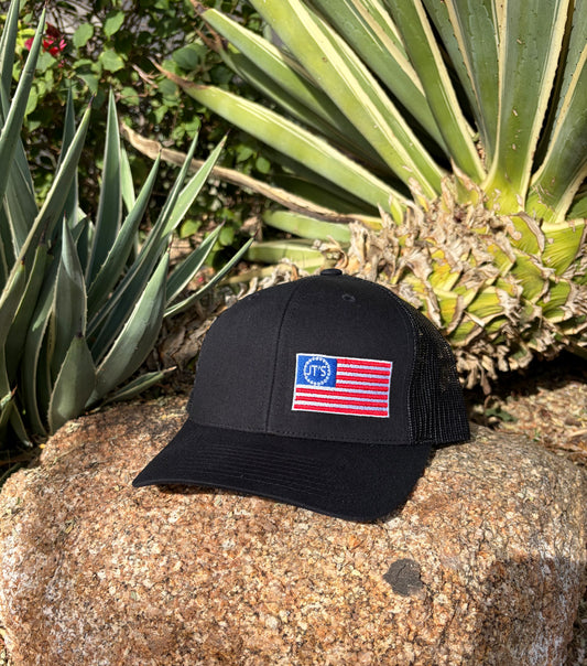 Stars & Stripes Snapback